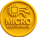 microelectronicsjsr.in